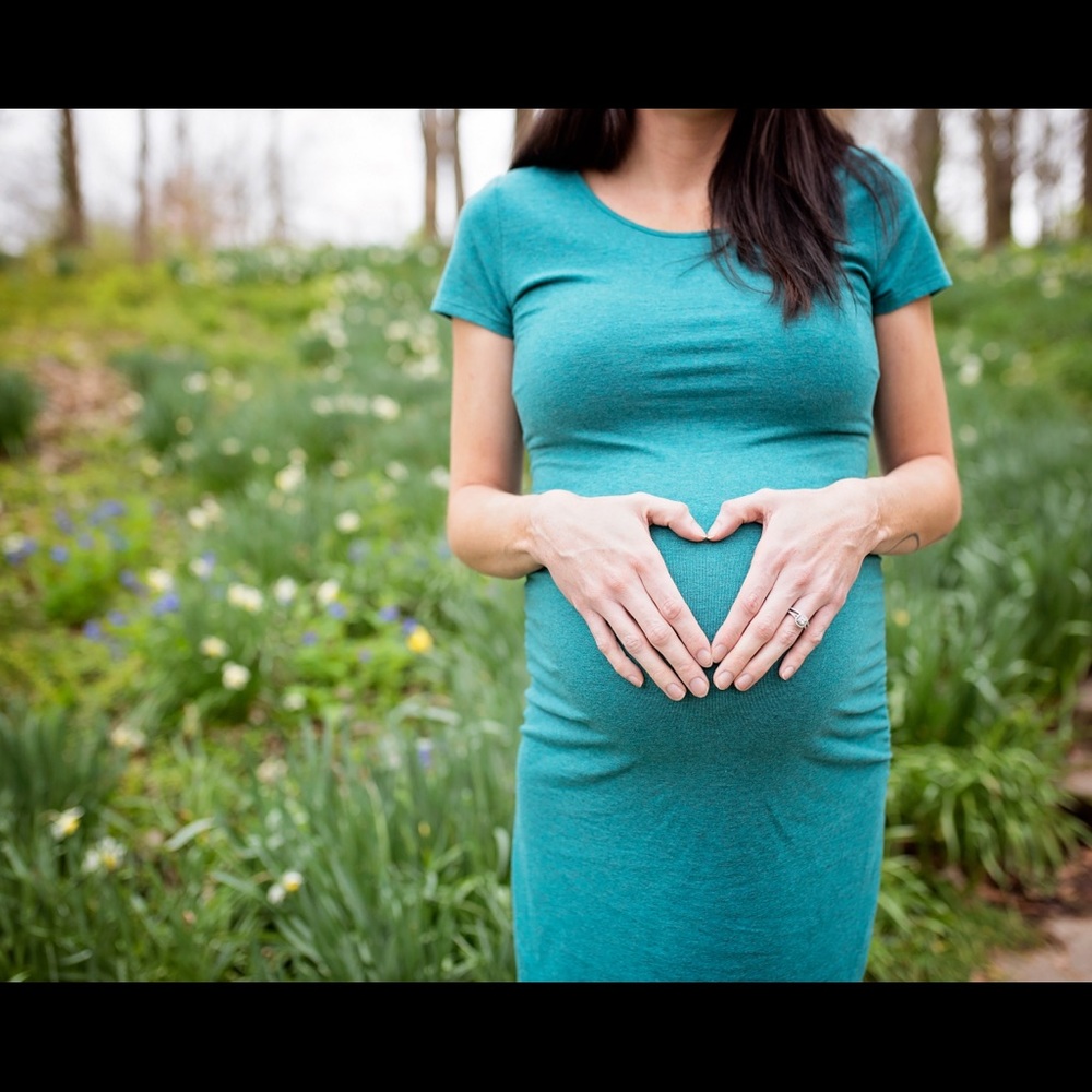 Isabel Maternity Dress
